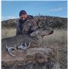 Image 2 : 5-Day Coues or Mule Deer Hunt for Two (2) Hunters and Two (2) Non-Hunters