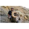 Image 2 : 2024 Utah Nine Mile, Gray Canyon Rocky Mountain Bighorn Sheep Conservation Permit, Any Legal weapon
