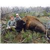 Image 1 : 2024 Utah Henry Mtns Bison Conservation Permit, Hunter’s Choice (Early), Any Legal Weapon (Rifle)