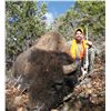 Image 2 : 2024 Utah Henry Mtns Bison Conservation Permit, Hunter’s Choice (Early), Any Legal Weapon (Rifle)