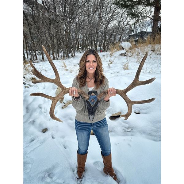 Hand Beaded Mule Deer Skull by Jana Waller Bair