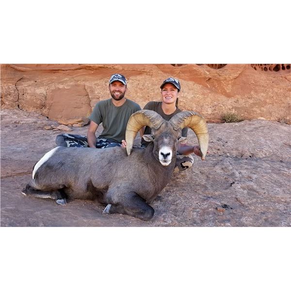 2024 Utah Henry Mtns, Desert Bighorn Sheep Conservation Permit - Any Legal Weapon (Rifle)