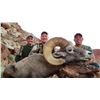 Image 2 : 2024 Utah Henry Mtns, Desert Bighorn Sheep Conservation Permit - Any Legal Weapon (Rifle)