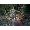 Image 1 : 2024 Utah Mt. Dutton, Bull Elk Conservation Permit, Any Leagal Weapon