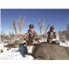 Image 2 : 2024 Utah Statewide Mule Deer Conservation Permit