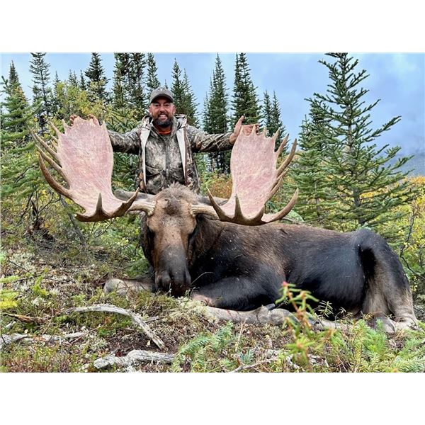 2025 10 - Day Moose, Black Bear and Wolf Hunt - Full Curl Stone Outfitters BC