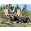 Image 1 : 2025 10 - Day Moose, Black Bear and Wolf Hunt - Full Curl Stone Outfitters BC