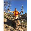 Image 1 : 2024 Utah Statewide Bull Elk Conservation Permit