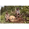 Image 2 : 2024 Utah Statewide Bull Elk Conservation Permit