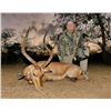 Image 2 : 10-Day ARCHERY ONLY Plains Game Hunt for Two (2) Hunters and Two (2) Observers