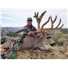 Image 1 : 2024 Arizona Special License - Mule Deer Tag