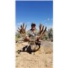 Image 3 : 2024 Arizona Special License - Mule Deer Tag