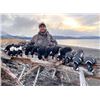 Image 2 : 5-Day/5-Night Kodiak Trophy Sea Duck and Sitka Black-tailed Deer Hunt for One Hunter