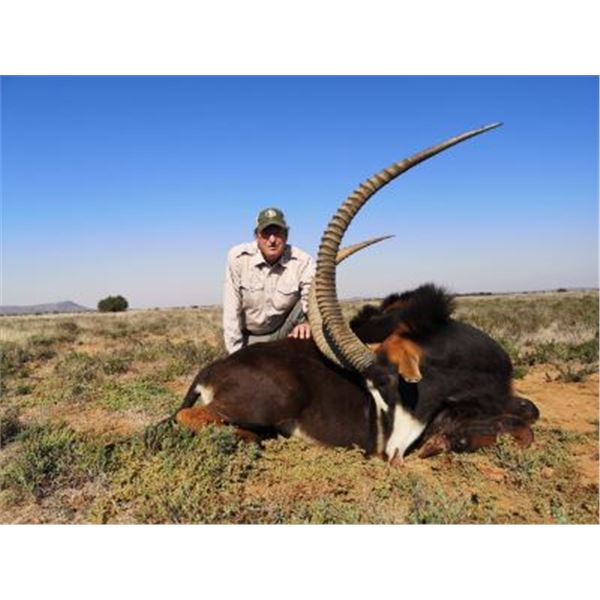 Sable Hunter 7-day South Africa Sable Hunt for One Hunter and One Non-Hunter