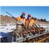 Image 1 : 3-Night/2-Day Nebraska Upland Game Shoot for Two Hunters