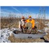 Image 2 : 3-Night/2-Day Nebraska Upland Game Shoot for Two Hunters