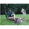 Image 2 : 5-day Hungary European Fallow Deer and European Red Deer Hunt for Two Hunters and Two Non-Hunters