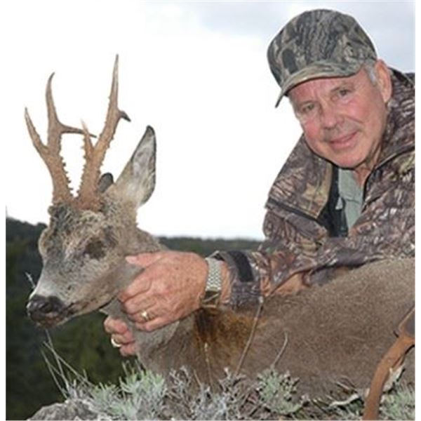 5-day Spain European Roe Deer Hunt for Two Hunters and Two Non-Hunters ...