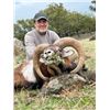 Image 2 : 5-day Spain Iberian Mouflon Hunt for Two Hunters and Two Non-Hunters