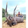 Image 1 : 10-day South Africa Plains Game Hunt with Craig Boddington for One Hunter and One Non-Hunter