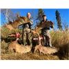 Image 2 : 10-day Alaska Moose Hunt for One Hunter