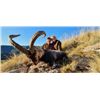 Image 2 : 7-day Spain Bronze Medal Ronda Ibex and Bronze Medal Southeastern Ibex Hunt for One Hunter and One N