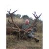 Image 2 : 5-day Spain Iberian Red Deer Hunt for Two Hunters and Two Non-Hunters