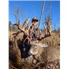 Image 2 : 3-day Wisconsin Gold-Medal Northeastern White-tailed Deer for One Hunter