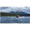 Image 2 : 3-day Alaskan Salmon and Halibut Fishing Trip for Two Anglers