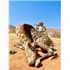 Image 2 : 7-day Namibia Plains Game Safari for One Hunter and One Non-Hunter
