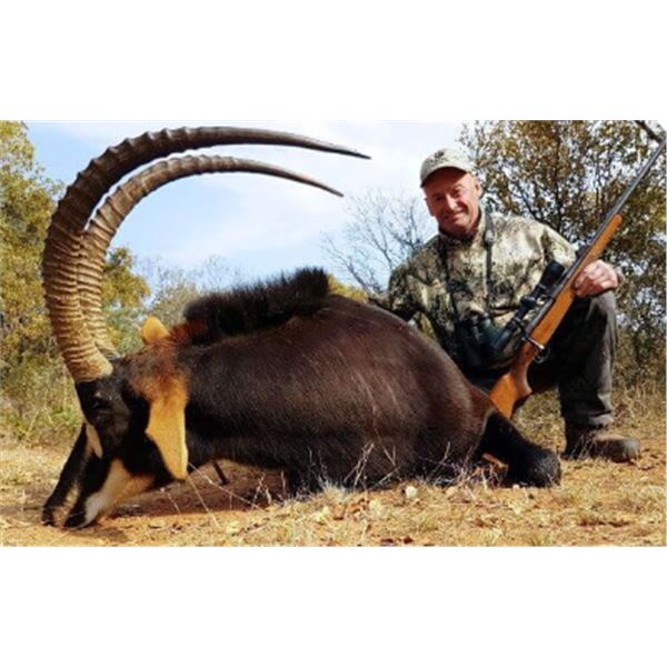 Sable Hunter 7-day South Africa Sable and Nyala Hunt for One Hunter and One Non-Hunter