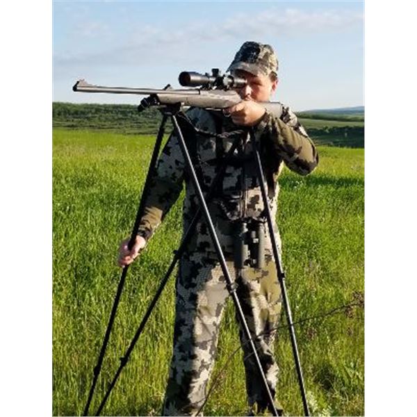 Gun Stix Shooting Sticks