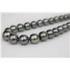 Image 3 : 12-14mm Tahitian Peacock Round Necklace with Gold Clasp