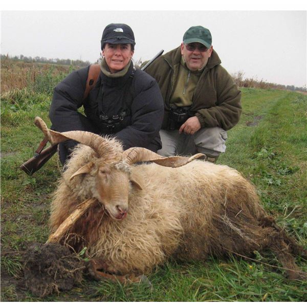 European Hunting Adventures