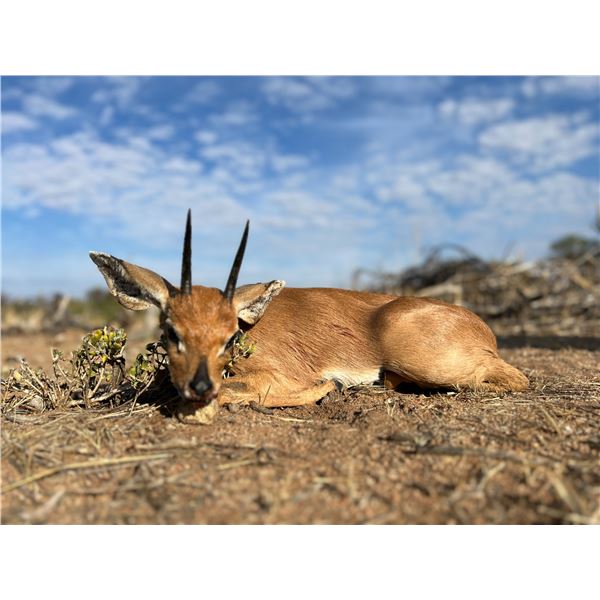 Sesembo Hunting Safaris