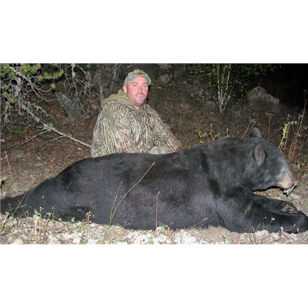 Pickerel Creek Camp - Black Bear