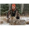 Image 4 : Alberta: 9 Day Wolf and Coyote predator hunt for 1 Hunter, including the trophy fee for 1 wolf.