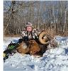 Image 4 : LA F02 1 Day Minnesota Youth Ram Hunt for One Hunter