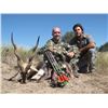 Image 3 : LA F29    5 Day Argentina Hunt for 3 Hunters includes 1 Blackbuck, 1 Wild Boar, 1 Patagonic Ram