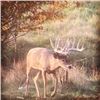 Image 3 : LA F31      2 Day Wisconsin Whitetail Deer Hunt up to 200 inches for One Hunter