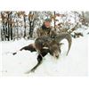 Image 6 : LA F36 3 Day Croatia Big Game Hunt and 2 Days Sightseeing for One Hunter and One Non-Hunter