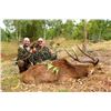 Image 2 : LA F42 4 Day Javan Rusa Deer & Wild Boar on African Island Country Mauritius 1 Hunter & 1 Non-Hunter