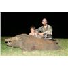 Image 3 : LA F42 4 Day Javan Rusa Deer & Wild Boar on African Island Country Mauritius 1 Hunter & 1 Non-Hunter