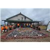 Image 3 : LA F52 1 Day Minnesota 10 Bird Pheasant Hunt for One Hunter and One Year Hunt Club Membership