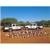 Image 3 : LA F53 7 Day So. Africa Zebra Hunt & 2 Days at Kruger National Park for 2 Hunters includes 2 Zebras