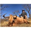 Image 2 : LA S08 10 Day So. Africa Plains Game Safari for 2 Hunters includes $2,000 Trophy Fee Credit per Hunt