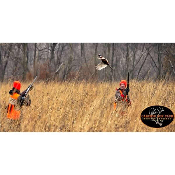 LA S09 1 Day Minnesota 10 Bird Pheasant Hunt for One Hunter and a One Year Gun Club Membership