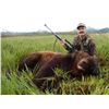 Image 2 : LA S11 10 Day Alaska Guided Brown Bear and Black Bear Rifle Hunt for One Hunter