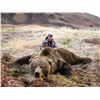 Image 4 : LA S11 10 Day Alaska Guided Brown Bear and Black Bear Rifle Hunt for One Hunter