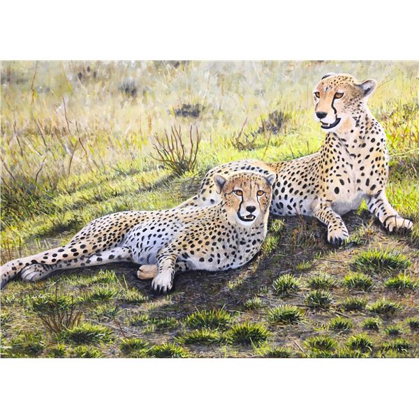 LA S13 Framed Artwork “Siesta Cheetah”, by Steve Hamrick